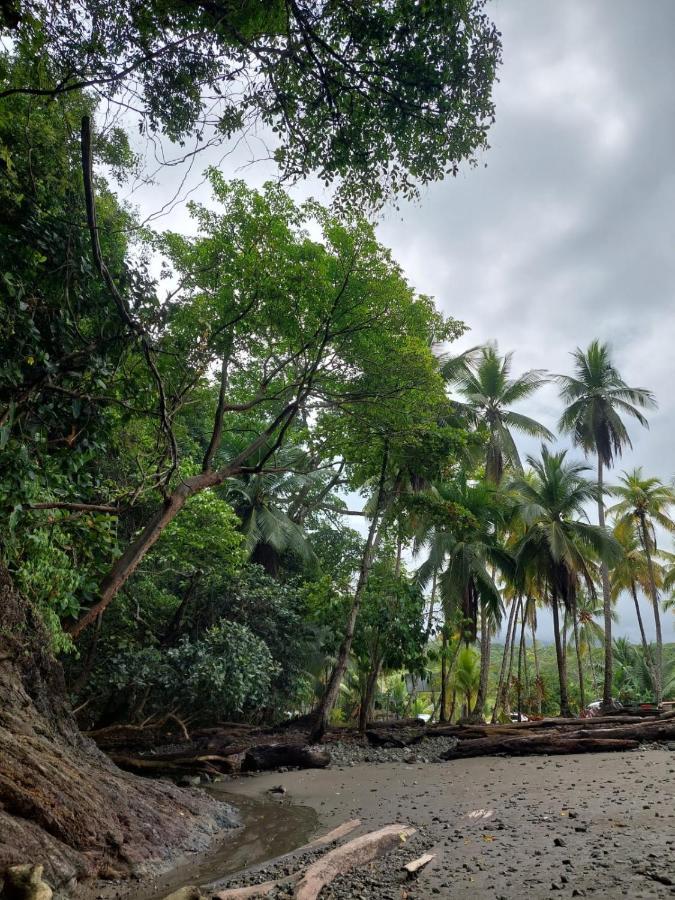 Casa Bahia Ale, Bahia Ballena Uvita Luaran gambar